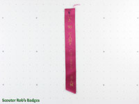 Click to enlarge CJ'93 Camp Chief Team Ribbon